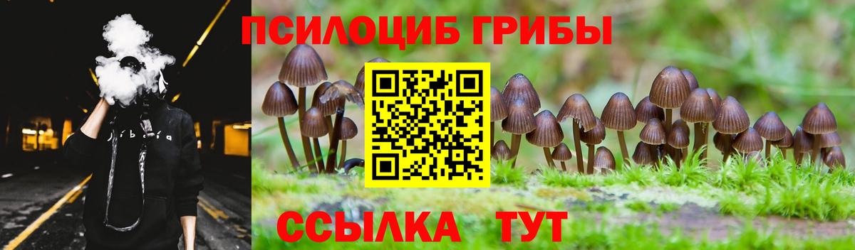 Псилоцибиновые грибы MAGIC MUSHROOMS  Вход с VPN  Псилоцибиновые грибы прущие грибы  купить наркоту  Лянтор 